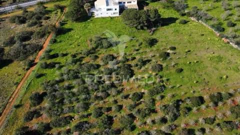 Moradia térrea t3 com anexo t1 inserida em 6.060m2 de terreno