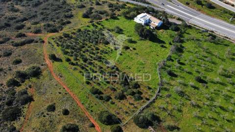 Moradia térrea t3 com anexo t1 inserida em 6.060m2 de terreno