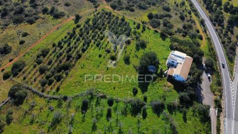 Moradia térrea t3 com anexo t1 inserida em 6.060m2 de terreno