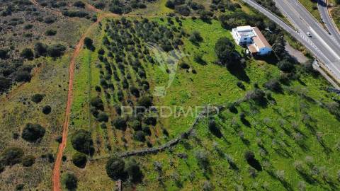 Moradia térrea t3 com anexo t1 inserida em 6.060m2 de terreno