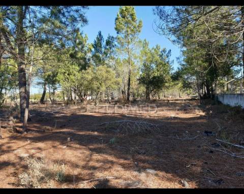 Terreno com 5850 para construção ( próximo ao espaço de sonho)