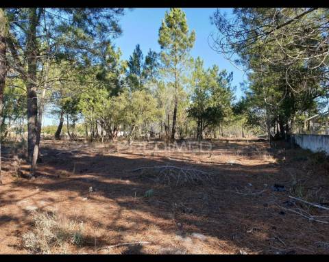 Terreno com 5850 para construção ( próximo ao espaço de sonho)