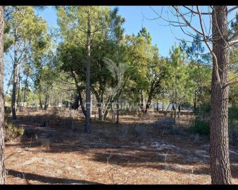 Terreno com 5850 para construção ( próximo ao espaço de sonho)