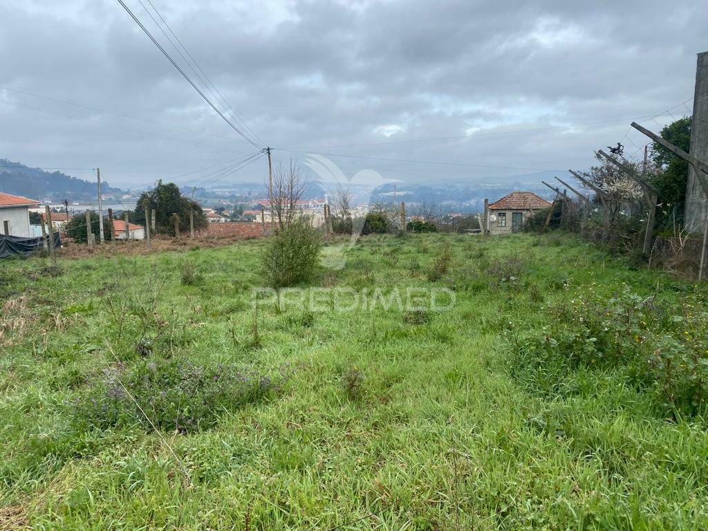 Terreno junto santo tirso / aves