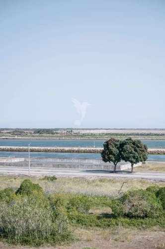 Apartamento t1 praia da barra