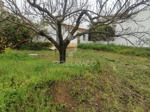 Lote de terreno urbano