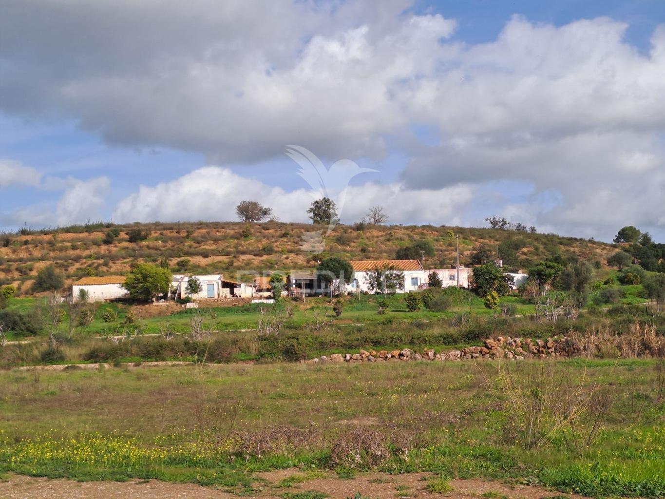Excelente quinta em silves