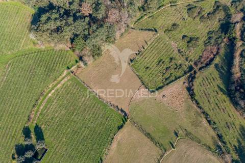 Quinta para restauro, em amares (24.740m2)