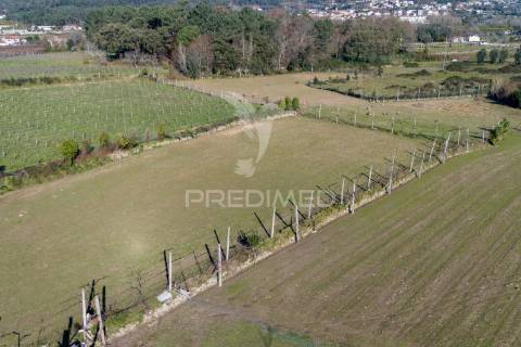 Quinta para restauro, em amares (24.740m2)
