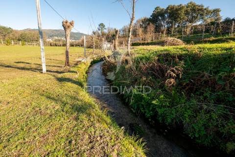 Quinta para restauro, em amares (24.740m2)