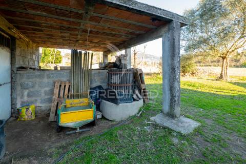 Quinta para restauro, em amares (24.740m2)