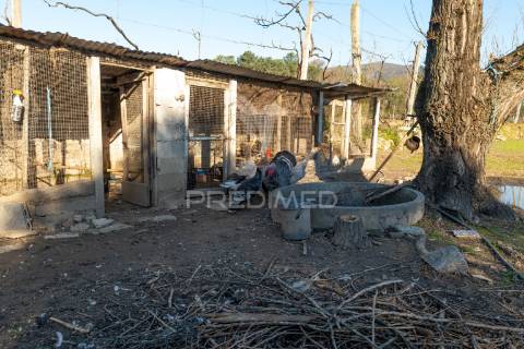 Quinta para restauro, em amares (24.740m2)