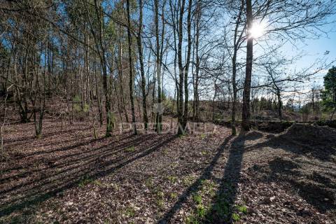 Moradia t4 + anexo t1 - fafe (1.3 ha)