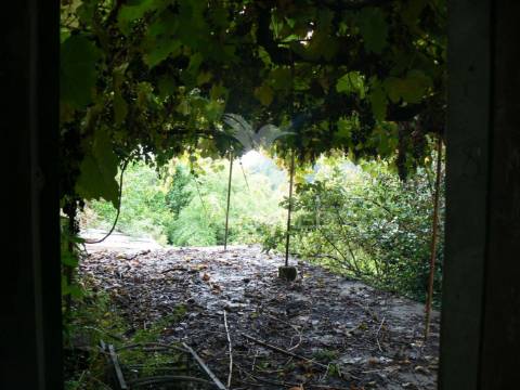 Moradia t3 em rocas do vouga, sever do vouga