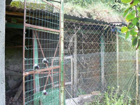 Moradia t3 em rocas do vouga, sever do vouga