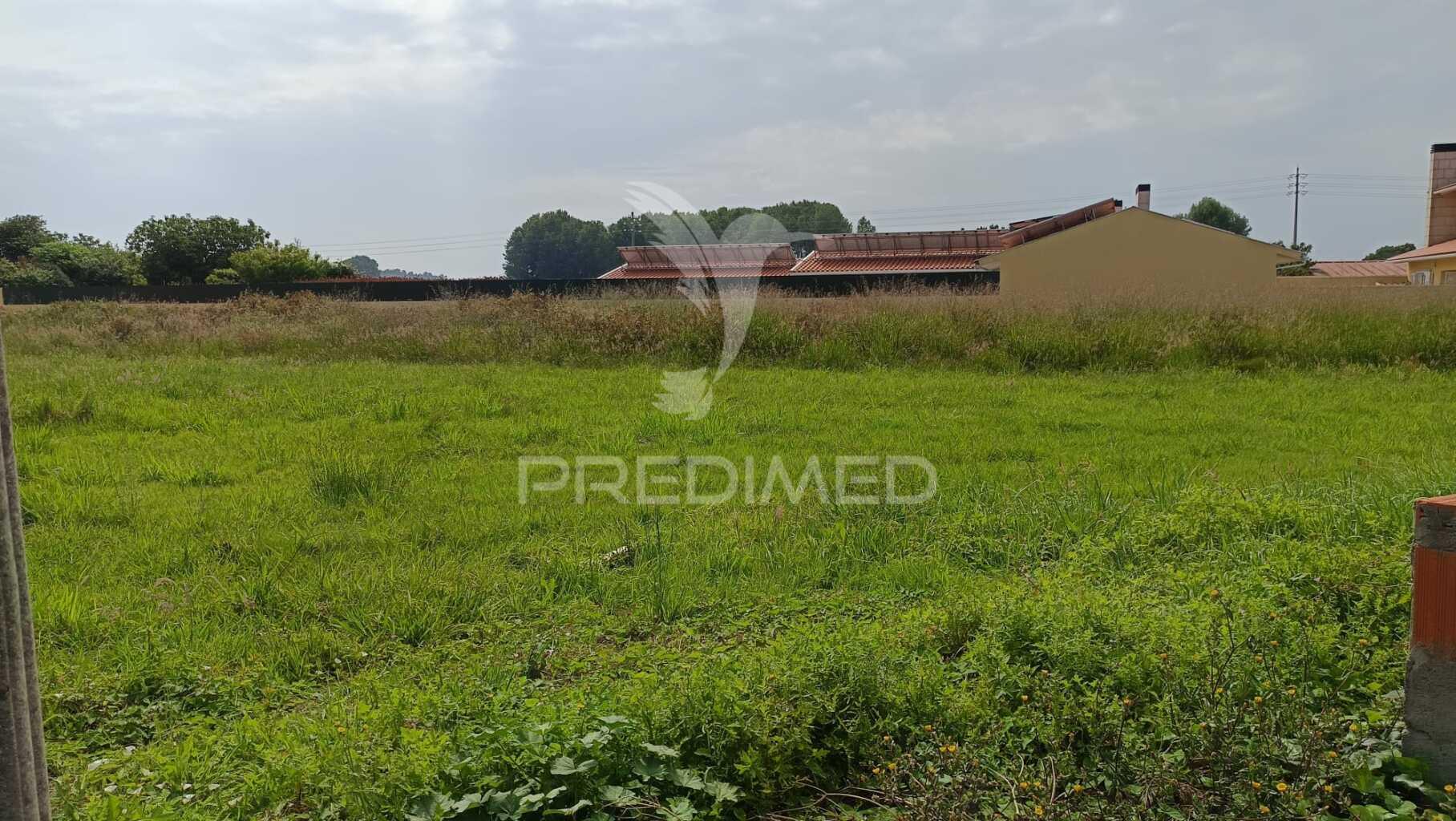 Lote para construção em ílhavo