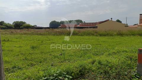 Lote para construção em ílhavo