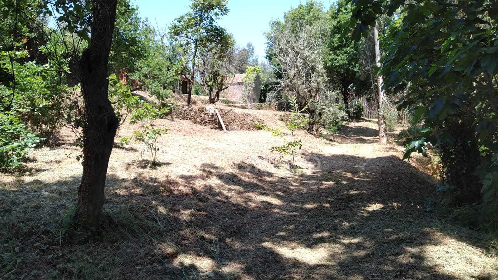 Terreno urbanizável de 4514m² – perto do rio alfusqueiro