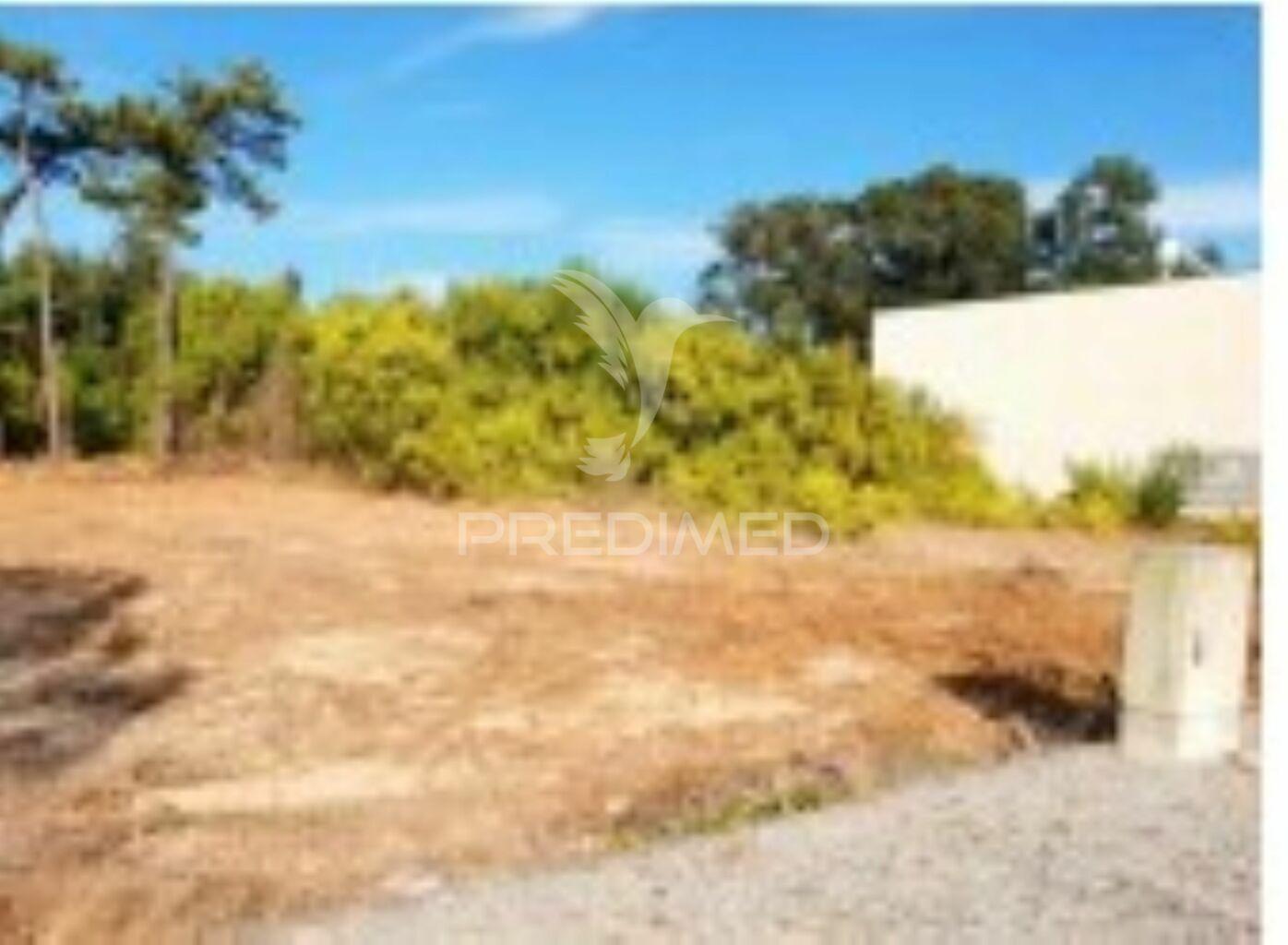 Lote terreno com 476m2 | torreira