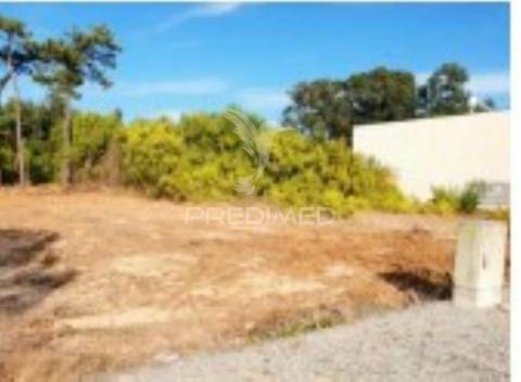 Lote terreno com 476m2 | torreira