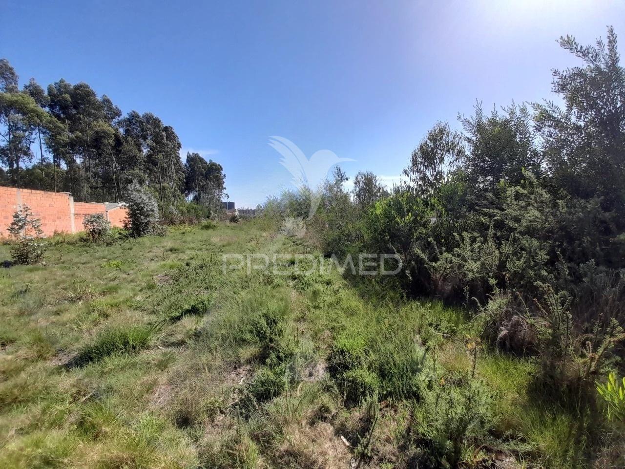 Terreno para construção de armazém em zona industrial taboeira