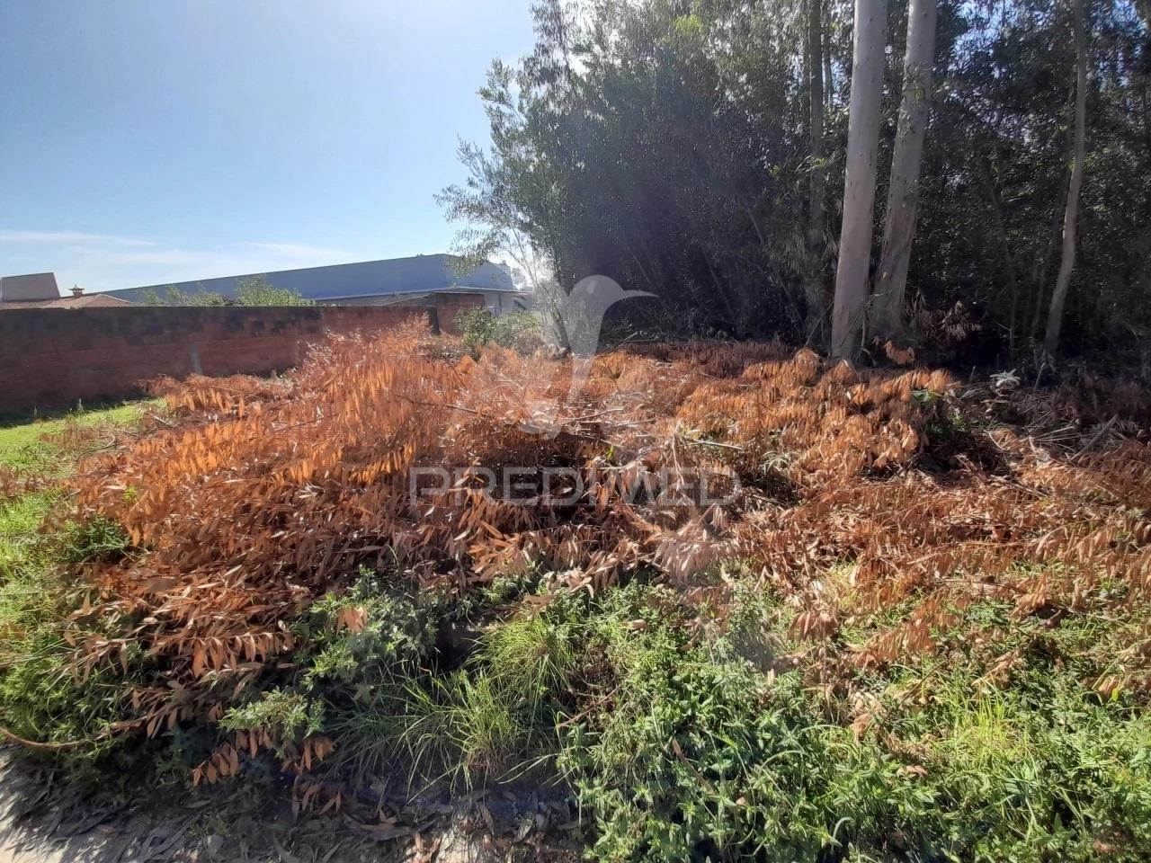 Terreno para construção de armazém em zona industrial taboeira