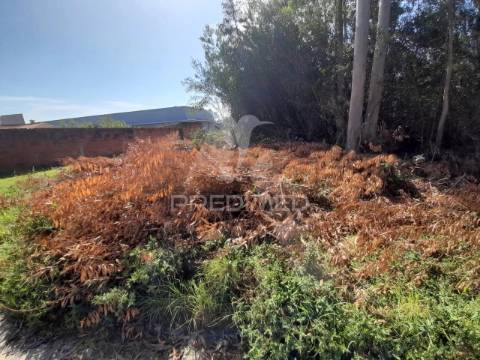 Terreno para construção de armazém em zona industrial taboeira