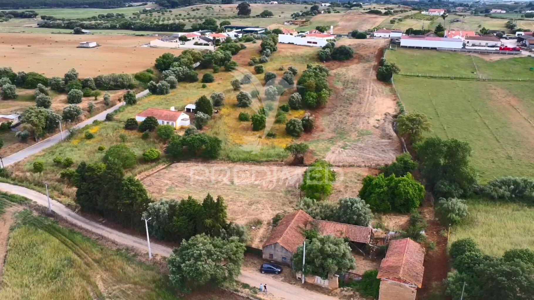 Quintinha torres novas