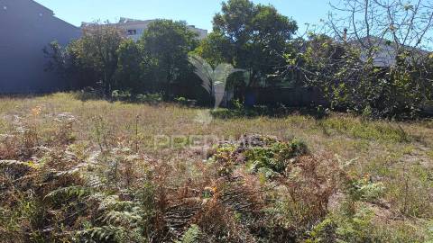 Terreno urbano