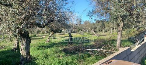 Quintinha rural