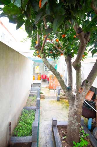 Moradia t2  com garagem no vimieiro