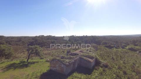 Herdade com 71 hectares e ruína de 174m2