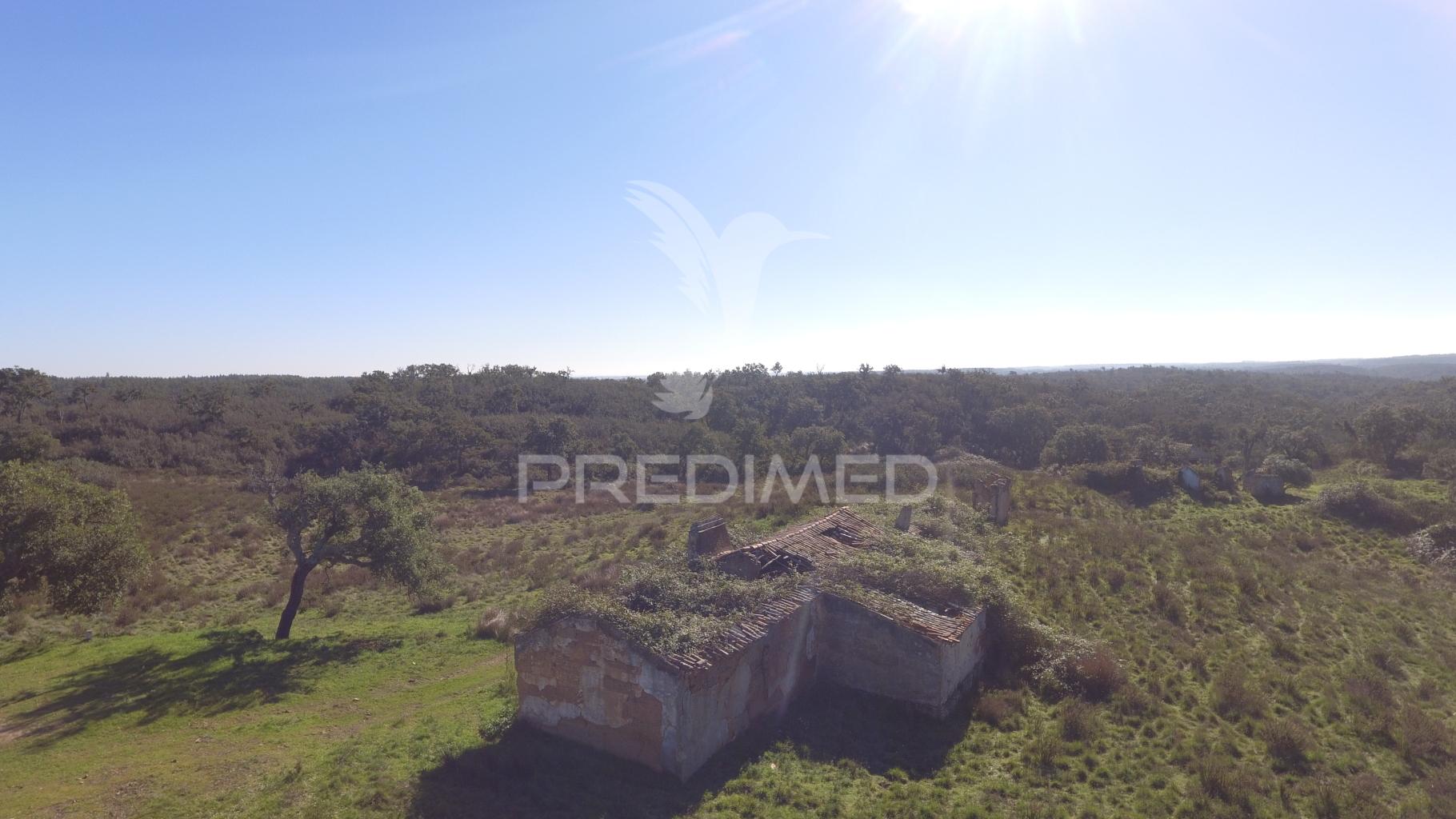 Herdade com 71 hectares e ruína de 174m2