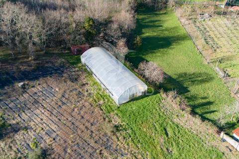 Quinta com casa 300m2 em serzedelo, póvoa de lanhoso, braga