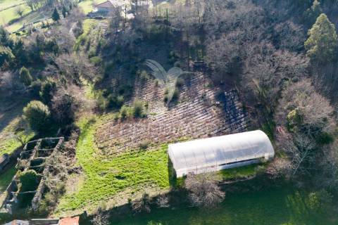 Quinta com casa 300m2 em serzedelo, póvoa de lanhoso, braga