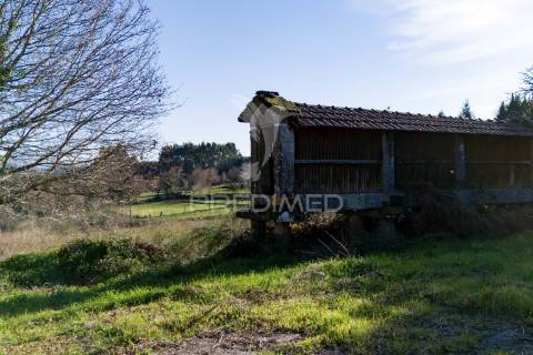 Quinta com casa 300m2 em serzedelo, póvoa de lanhoso, braga