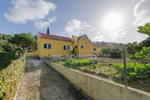 Quinta com 3 moradias e 8840 m2 de terreno nas cachoeiras