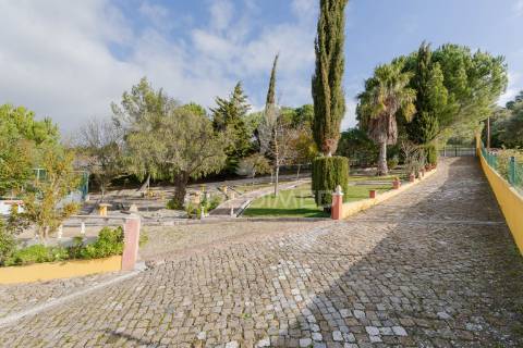 Quinta com 3 moradias e 8840 m2 de terreno nas cachoeiras