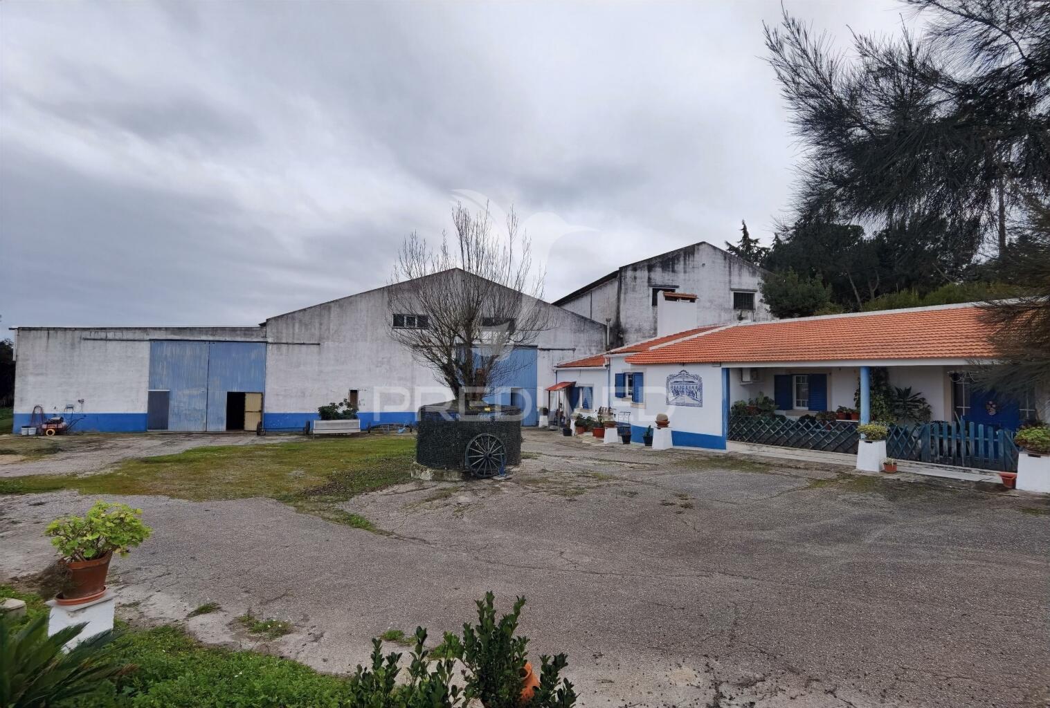 Quinta dos pedros, localizada no cartaxo