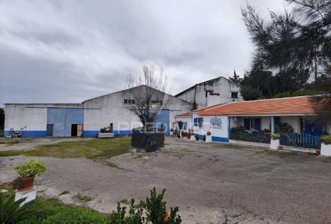 Quinta dos pedros, localizada no cartaxo