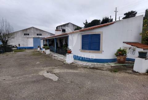 Quinta dos pedros, localizada no cartaxo