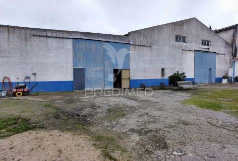Quinta dos pedros, localizada no cartaxo