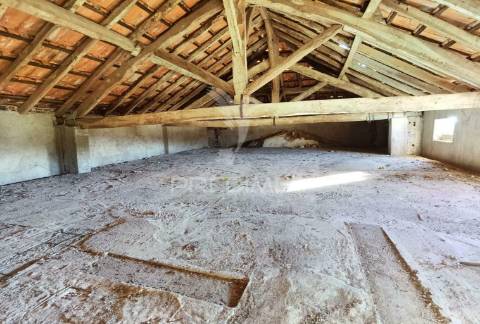 Excelente oportunidade de negócio, pavilhão para seu projeto agrícola.