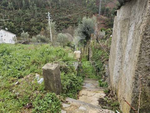 Ruina perto praia fluvial troviscal