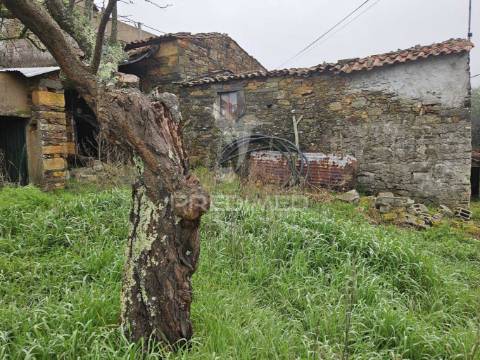 Ruina perto praia fluvial troviscal