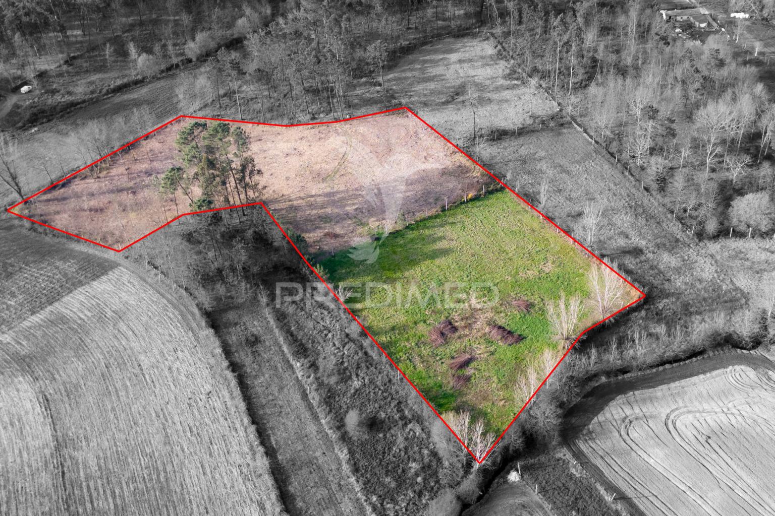 Terreno agricola e florestal - barreiros, amares