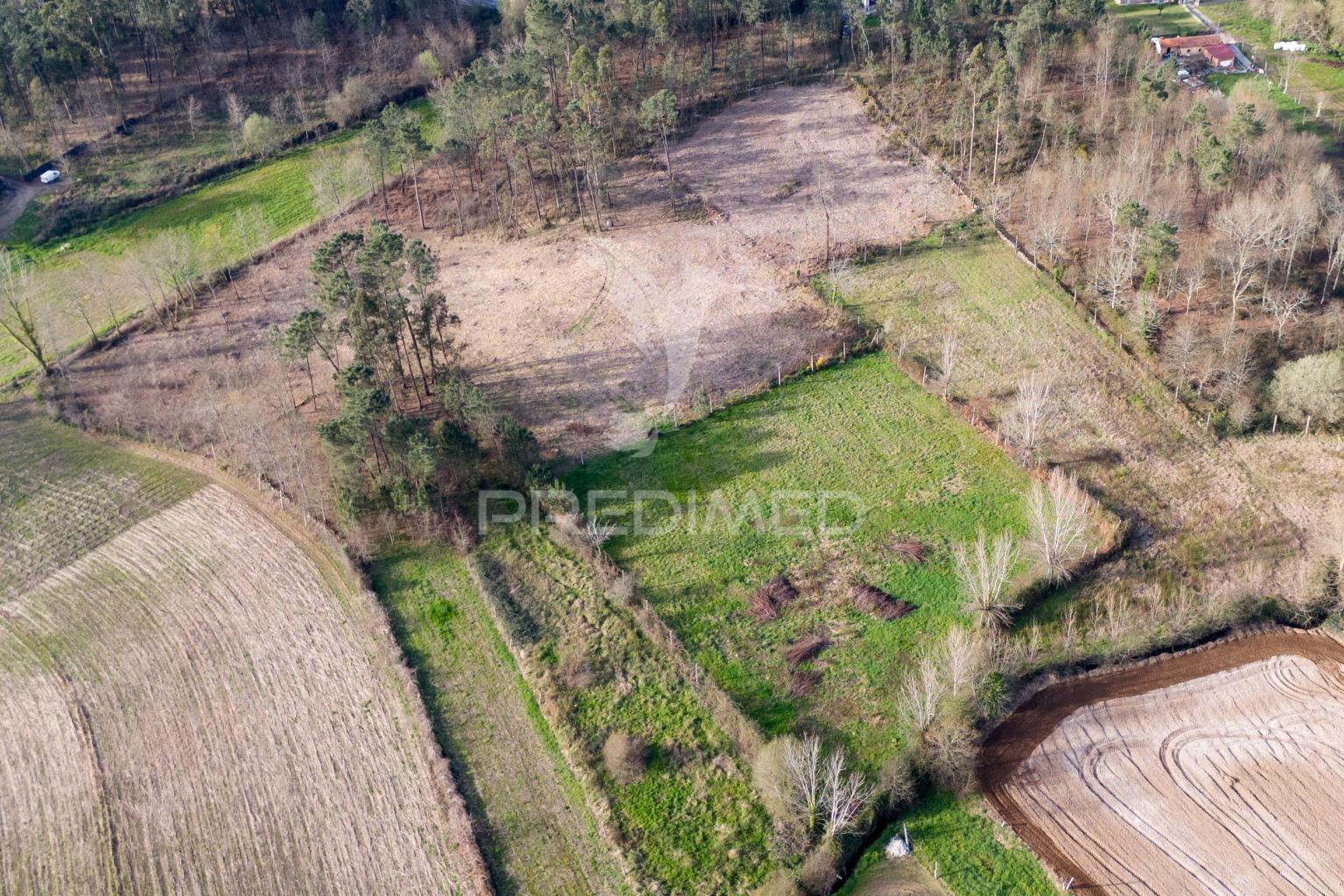 Terreno agricola e florestal - barreiros, amares