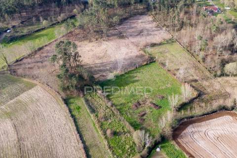Terreno agricola e florestal - barreiros, amares