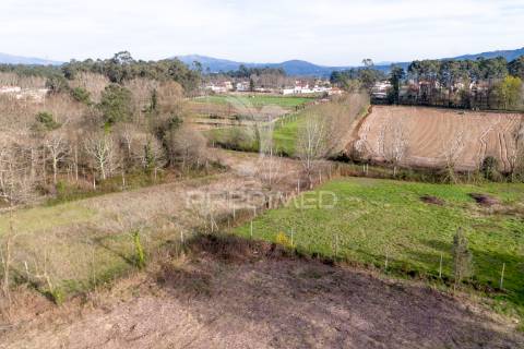 Terreno agricola e florestal - barreiros, amares