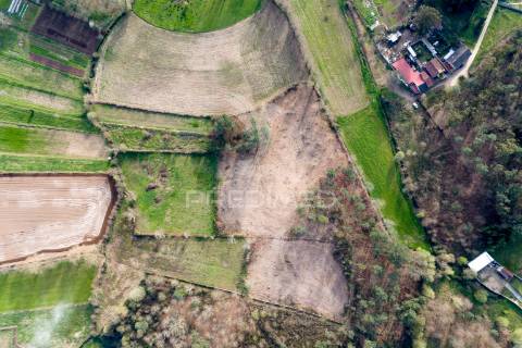 Terreno agricola e florestal - barreiros, amares